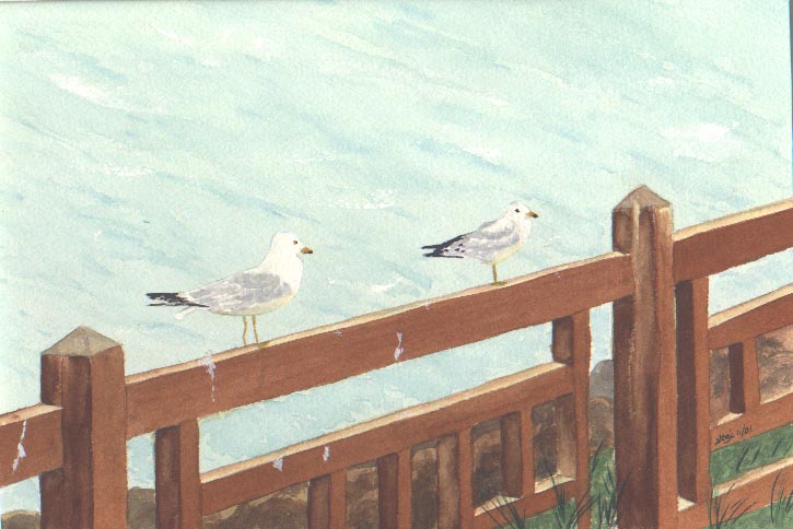 Seagulls on a Fence